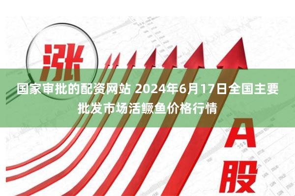 国家审批的配资网站 2024年6月17日全国主要批发市场活鳜鱼价格行情