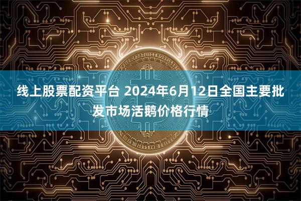 线上股票配资平台 2024年6月12日全国主要批发市场活鹅价格行情