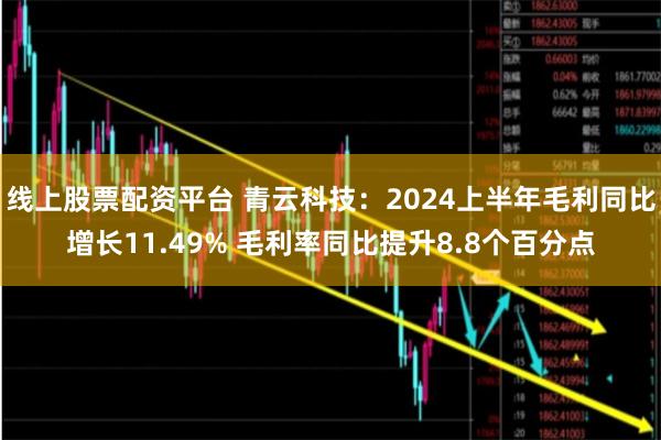 线上股票配资平台 青云科技：2024上半年毛利同比增长11.49% 毛利率同比提升8.8个百分点