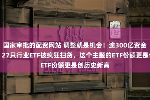 国家审批的配资网站 调整就是机会！逾300亿资金进场抄底，27只行业ETF被疯狂扫货，这个主题的ETF份额更是创历史新高